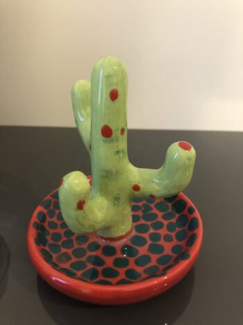 kaktus platte bltter Sgeblattkaktus | Epiphyllum anguliger