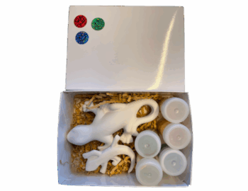Keramik zuhausemalen.de | Geschenk-Set Gecko Geschenk-Boxen
